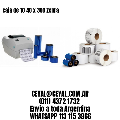 caja de 10 40 x 300 zebra