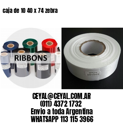 caja de 10 40 x 74 zebra