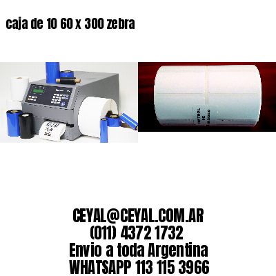 caja de 10 60 x 300 zebra