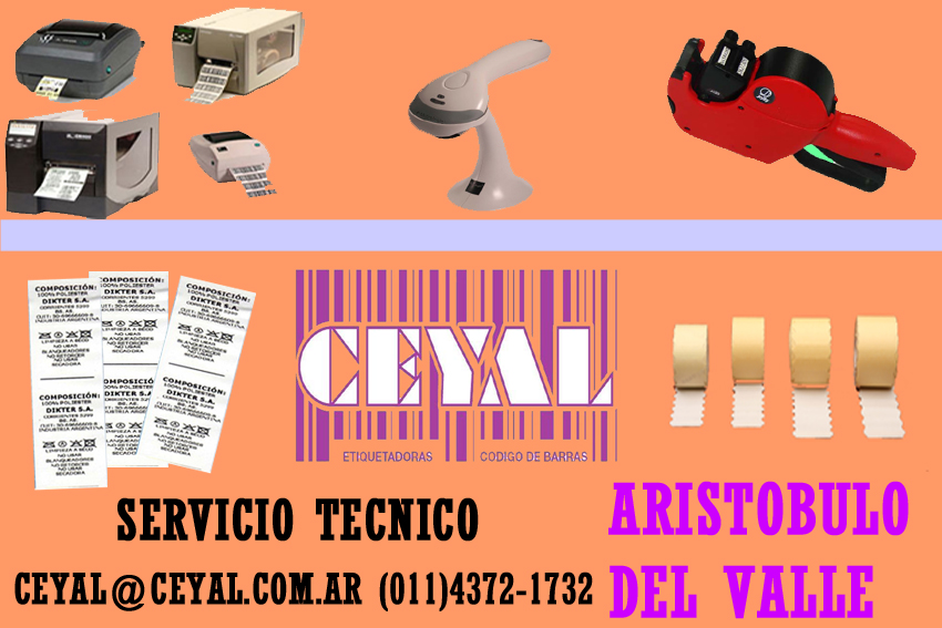 REPARACION ETIQUETADORA MX5500 ARISTOBULO DEL VALLE