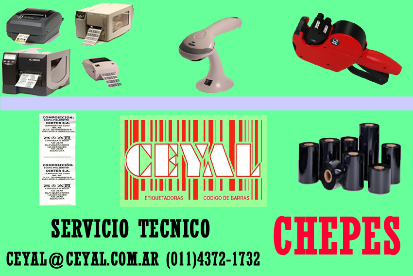 SERVICIO TECNICO DE LECTOR PARA DATAMATRIX CHEPES