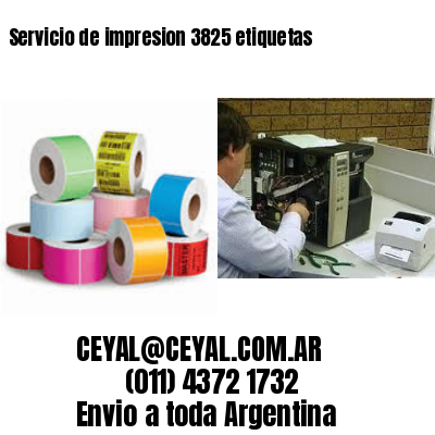Servicio de impresion 3825 etiquetas