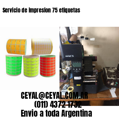 Servicio de impresion 75 etiquetas
