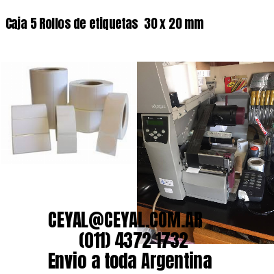 Caja 5 Rollos de etiquetas 	30 x 20 mm
