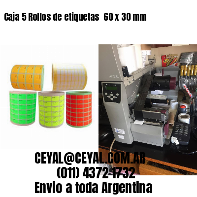 Caja 5 Rollos de etiquetas 	60 x 30 mm