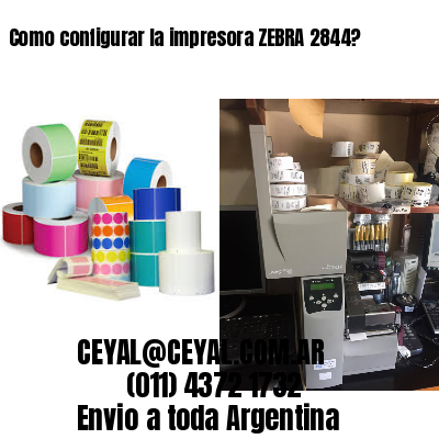 Como configurar la impresora ZEBRA 2844?