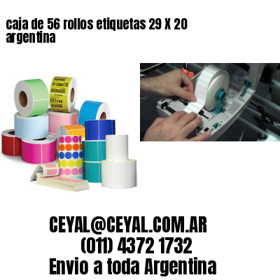 caja de 56 rollos etiquetas 29 X 20 argentina