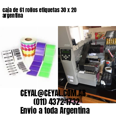 caja de 61 rollos etiquetas 30 x 20 argentina