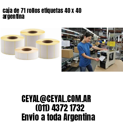 caja de 71 rollos etiquetas 40 x 40 argentina