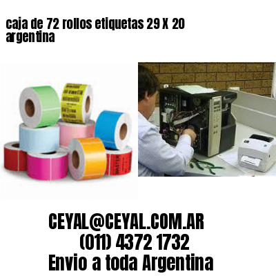 caja de 72 rollos etiquetas 29 X 20 argentina