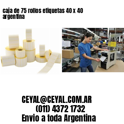 caja de 75 rollos etiquetas 40 x 40 argentina