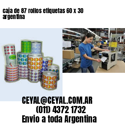caja de 87 rollos etiquetas 60 x 30 argentina