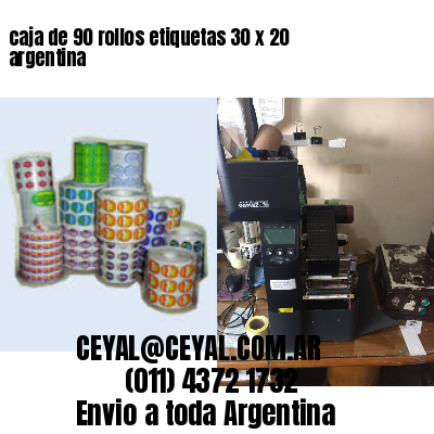 caja de 90 rollos etiquetas 30 x 20 argentina