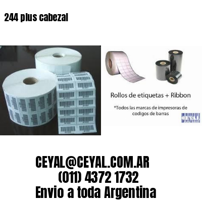 244 plus cabezal