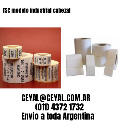 TSC modelo industrial cabezal