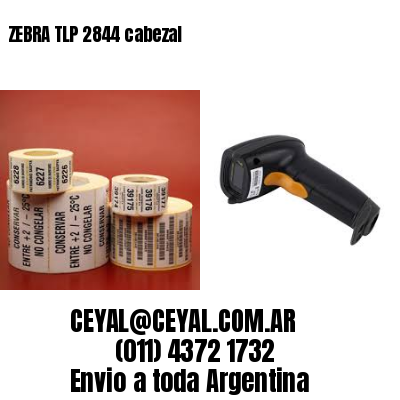 ZEBRA TLP 2844 cabezal