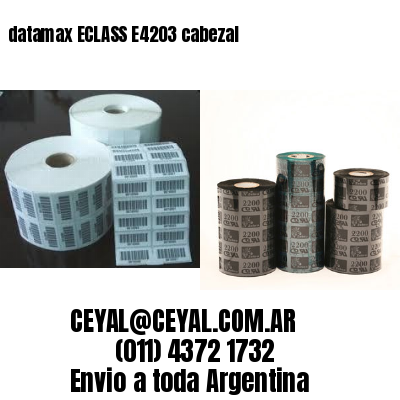 datamax ECLASS E4203 cabezal