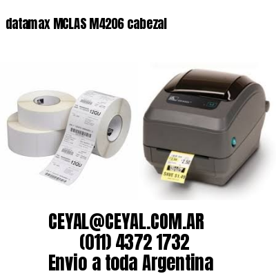 datamax MCLAS M4206 cabezal