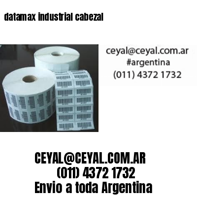 datamax industrial cabezal