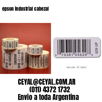 epson industrial cabezal