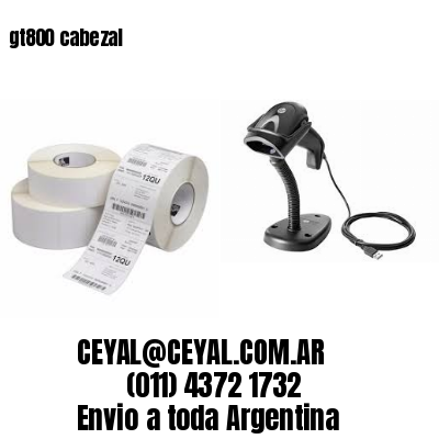 gt800 cabezal