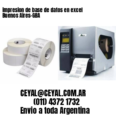impresion de base de datos en excel Buenos Aires-GBA