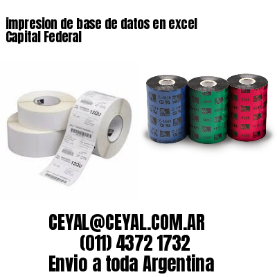 impresion de base de datos en excel Capital Federal