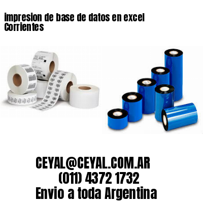impresion de base de datos en excel Corrientes