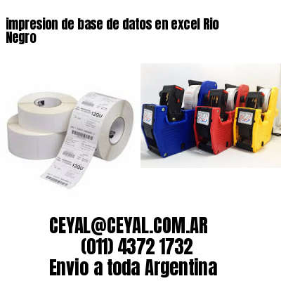 impresion de base de datos en excel Rio Negro