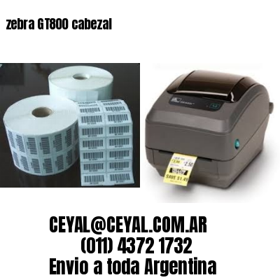 zebra GT800 cabezal