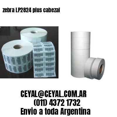 zebra LP2824 plus cabezal