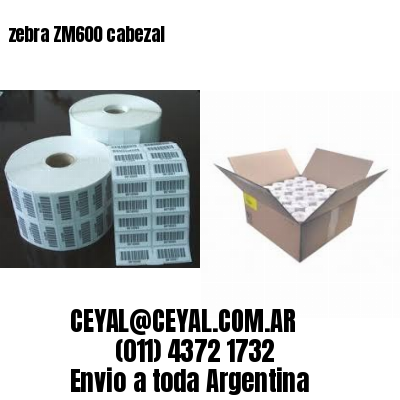 zebra ZM600 cabezal