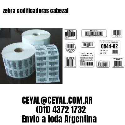 zebra codificadoras cabezal