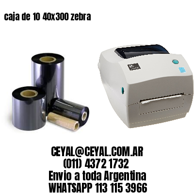 caja de 10 40x300 zebra