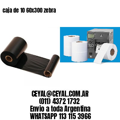 caja de 10 60×300 zebra
