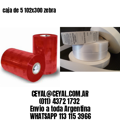 caja de 5 102×300 zebra