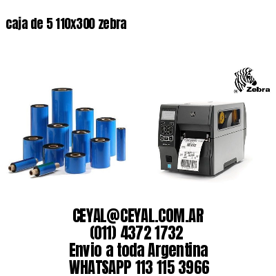 caja de 5 110×300 zebra