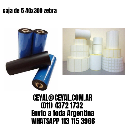 caja de 5 40×300 zebra
