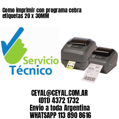Como imprimir con programa cebra etiquetas 20 x 30MM