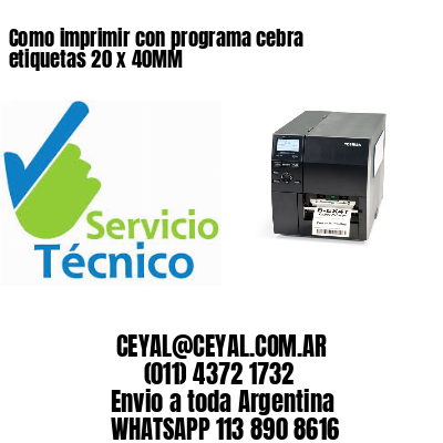 Como imprimir con programa cebra etiquetas 20 x 40MM