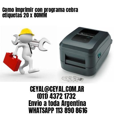 Como imprimir con programa cebra etiquetas 20 x 80MM