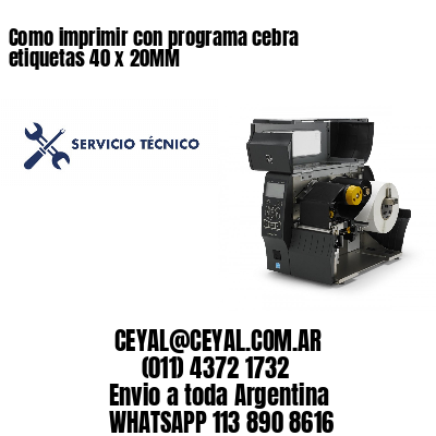 Como imprimir con programa cebra etiquetas 40 x 20MM