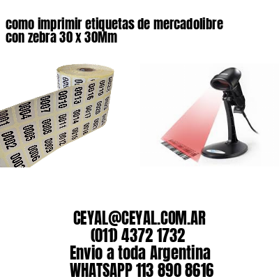 como imprimir etiquetas de mercadolibre con zebra 30 x 30Mm