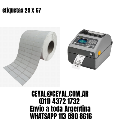 etiquetas 29 x 67
