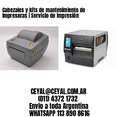 Cabezales y kits de mantenimiento de impresoras | Servicio de impresión