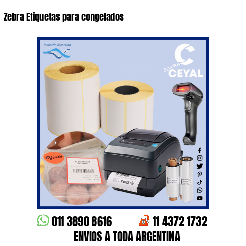 Zebra Etiquetas para congelados