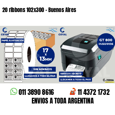 20 ribbons 102x300 - Buenos Aires