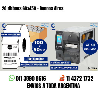 20 ribbons 60x450 - Buenos Aires