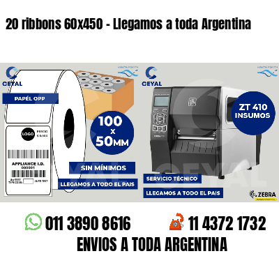 20 ribbons 60x450 - Llegamos a toda Argentina