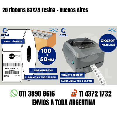20 ribbons 83x74 resina - Buenos Aires